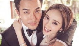 杨幂圈内真实爆料事件,真实爆料事件大揭秘