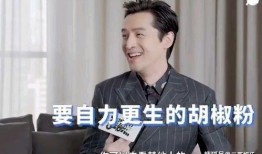 胡歌视频爆料,揭秘娱乐圈不为人知的幕后故事